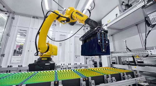 實探晶科能源尖山超級工廠 鑄就穿越周期核心競爭力 智能化規(guī)模生產(chǎn)成制勝法寶