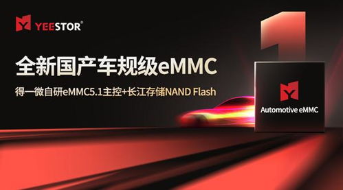 CFMS2024 存儲走向中央，得一微與晶科微電子持續開拓新篇章